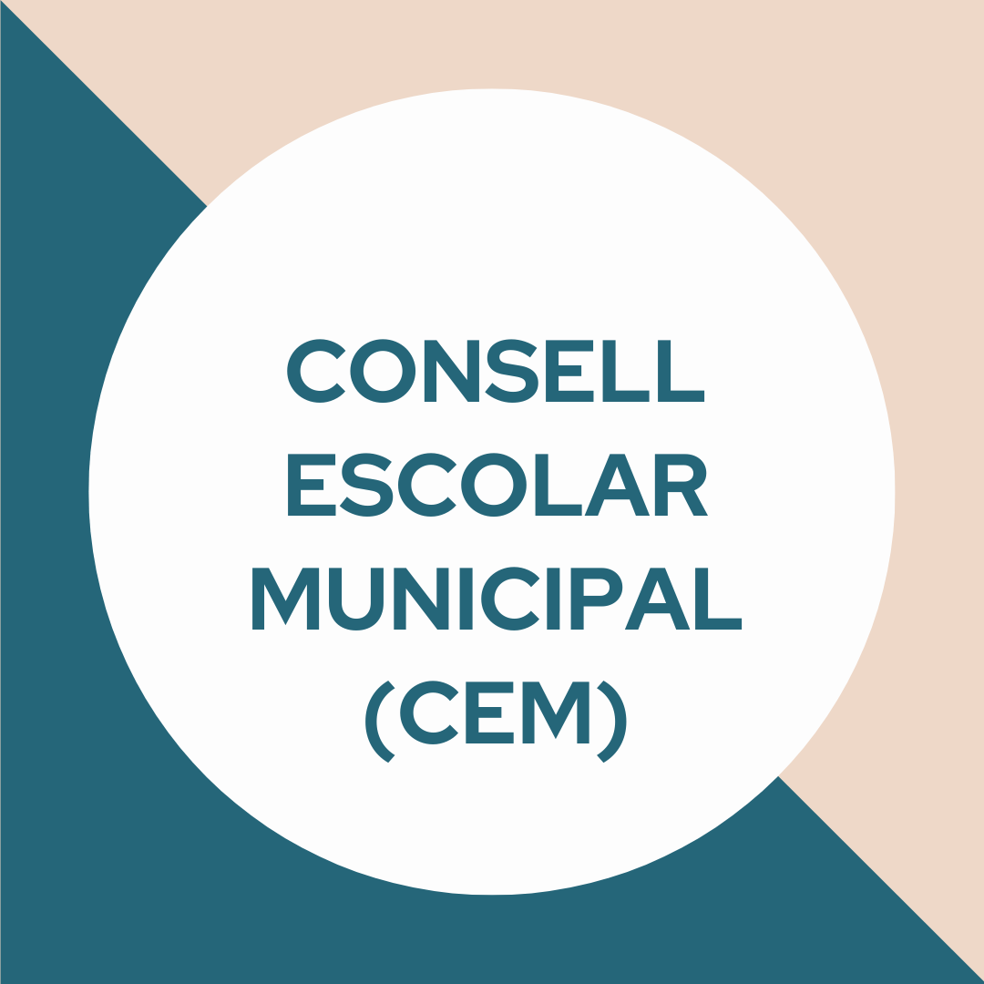 Imatge pels mitjans: Consell Escolar Municipal (CEM)